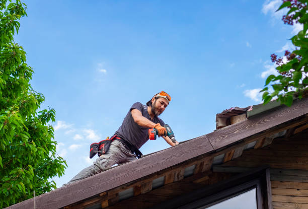 Best Rubber Roofing (EPDM, TPO)  in Gardnerville, NV