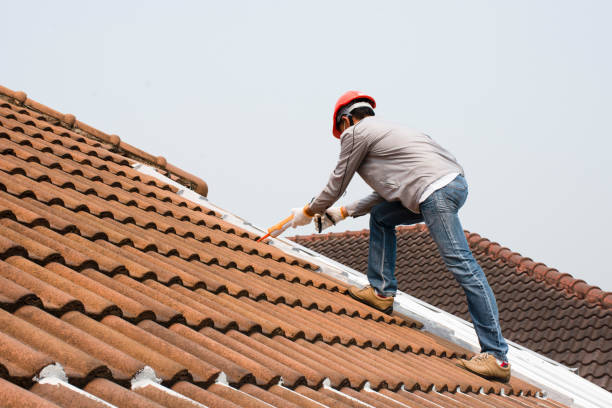 Best Rubber Roofing (EPDM, TPO)  in Gardnerville, NV