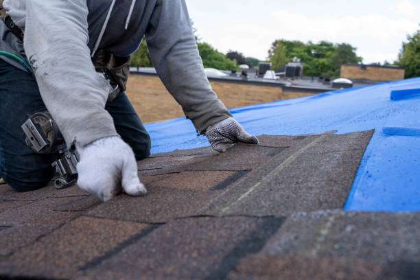 Fast & Reliable Emergency Roof Repairs in Gardnerville, NV