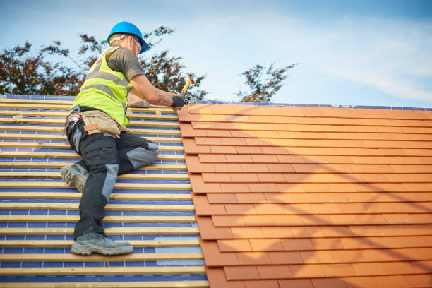 Best Roof Replacement  in Gardnerville, NV